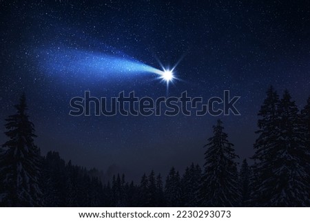 Christmas night. The first star lit up in the winter forest with snow and the night starry sky. Christmas Eve concept. Comet falls in the starry night sky Royalty-Free Stock Photo #2230293073