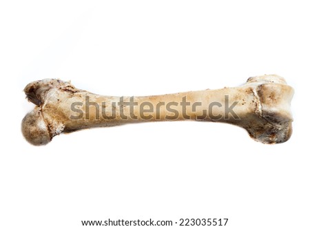 old bone isolated on white background Royalty-Free Stock Photo #223035517