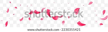 Pink Blossom Beauty Vector Transparent Panoramic Background. Flying Rose Illustration. Beautiful Sakura Fly Cover. Red Petal Summer Design.
