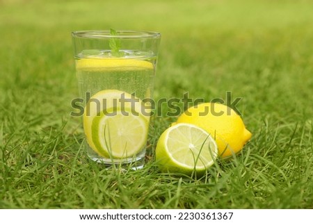 Glass of water with lemons on green grass outdoors