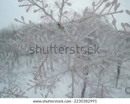 Blurred background image of snowflakes.