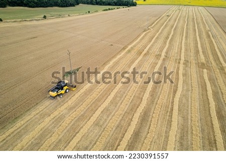Harvester machine working in field . Combine harvester agriculture machine harvesting golden ripe wheat field. Agriculture. Aerial view.