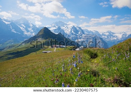 breathtaking alpine landscape switzerland. meadow with bluebells. view to Tschuggen and Jungfrau mountain, bernese oberland Royalty-Free Stock Photo #2230407575