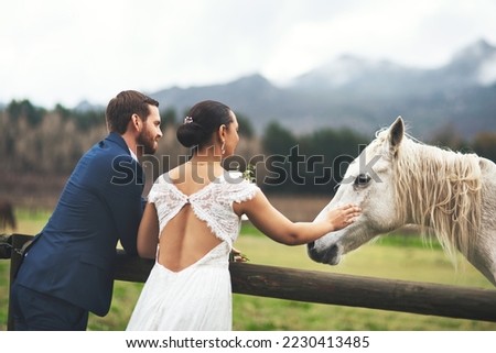 Lets ride off into the sunset. Shot of a happy newlywed young couple petting a horse outside on their wedding day.