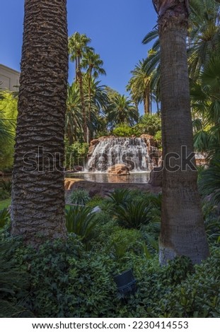 Beautiful view of tropical palm trees and small waterfall on background. Las Vegas. USA.