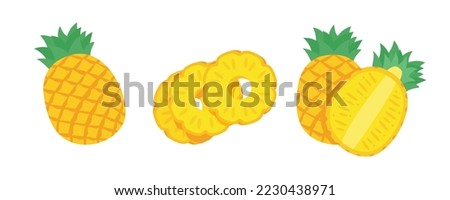 vector pineapple Sweet fruit for summer time Royalty-Free Stock Photo #2230438971