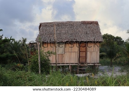 Aru Islands-Indonesia November 25 2022, A traditional Aru tribe house building using wood, sago leaf stems and sago leaves is in the middle of a forest and green grass. Royalty-Free Stock Photo #2230484089