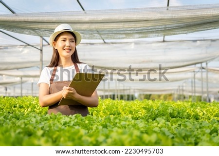 Asian women picking vegetables Happy inspecting your own hydroponic vegetable garden.