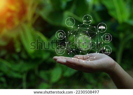 Technology,   Hands holding  globe of tropical nature summer background, 