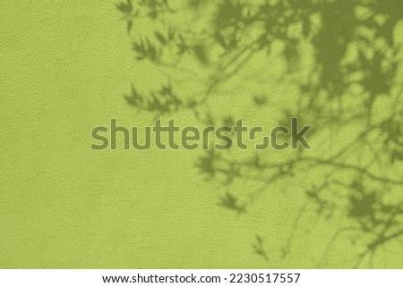 Abstract tree branches and leaves shadows on olive green concrete wall texture. Abstract trendy nature concept background. Copy space for text overlay, poster mockup flat lay 