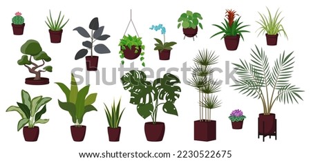 Set of home plants in flowerpots isolated on white background
