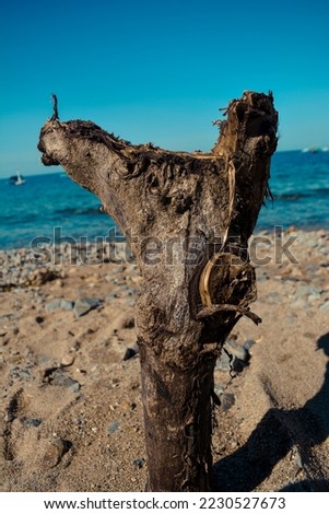 aesthetic picture of a boat hook made of a piece of wood on the seashore