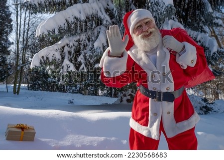 Xmas Santa Claus with real beard in the northern forest in winter among snow-covered firs and pines outside the city in the wild. Festive image for advertising design of banners, cards or calendars