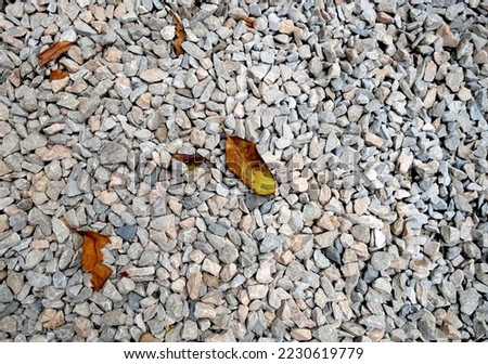 Stones texture and dried leaves