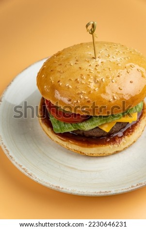 Tasty hamburger on an orange background
