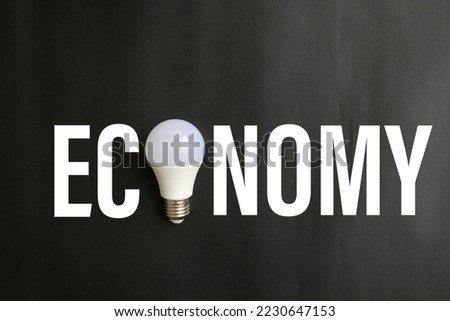 Economy lettering created from led bulb on colored background. Creative ideas for money saving concept. Money management for the future