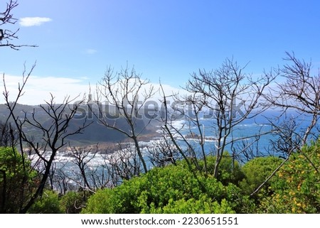 The Amazing view to the sea Featherbed Nature Reserve, Knysna, South Africa Royalty-Free Stock Photo #2230651551