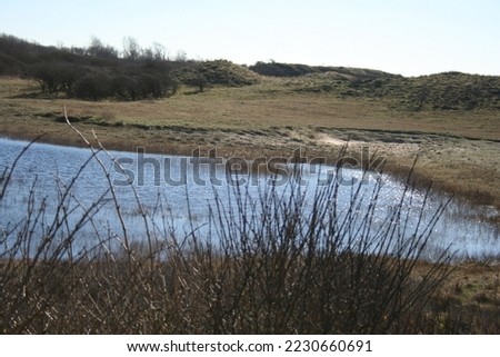 dutch dunes pictures taken in spring