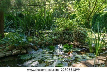 Beautiful small garden pond with stone shores and many decorative evergreens in garden. Selective focus. Nature concept for design