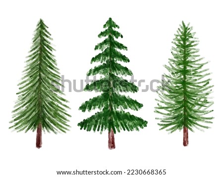 Christmas Watercolor Pine Tree Illustration