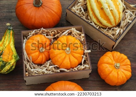 Crate and many different pumpkins on wooden table