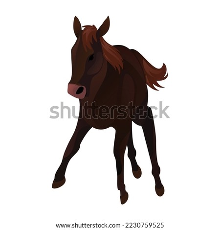 Horse animal brown pet illustration. Horse vector.
