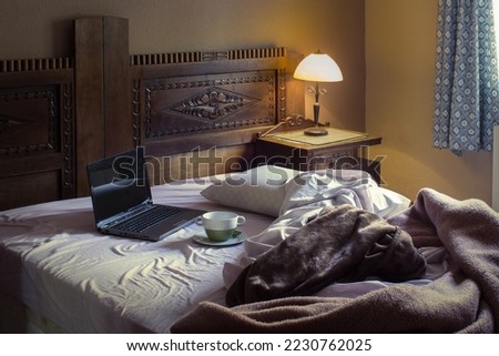 A rustic bedroom with a cup of soup on a dirty plate next to an open laptop on an unmade bed with blankets lit by a bedside lamp and sunlight from the window. Messy room. Royalty-Free Stock Photo #2230762025