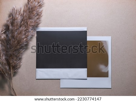 Blank photo frame with reed isolated on brown background as template for graphic designers cards, memories. Photo card with space for your logo or text.