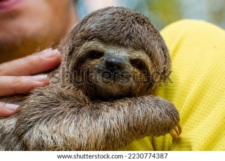 baby sloth in the arms of a young boy with a yellow shirt