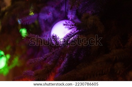 Christmas lights on the tree at night, concept. Large, isolated round Christmas tree beads, bubbles between coniferous tree branches close-up.