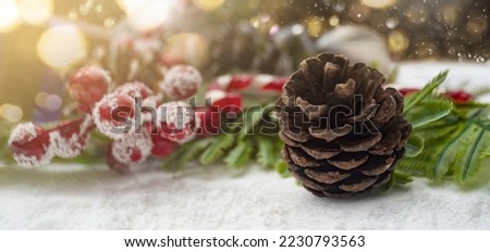 beautiful snowy christmas background with a pine cone close up
