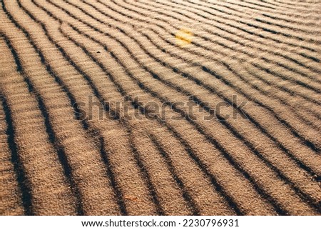 Sand photographed in Itaunas, EspIrito Santo - Southeast of Brazil. Atlantic Forest Biome. Picture made in 2009."