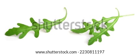 Green fresh rucola or arugula leaf isolated on white background macro Royalty-Free Stock Photo #2230811197