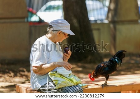 An elderly woman sits on a bench in a city park