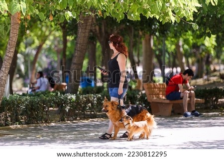 A pretty woman walks in a city park with dogs