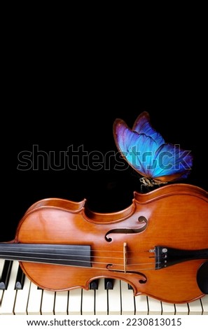 a violin on the piano keys and a bright blue morpho butterfly. music concept.