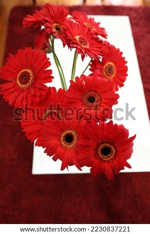 Bouquet of red gerberas on white coffee table, exquisite against red carpet 