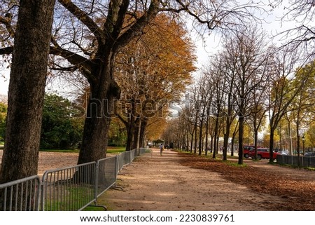 Landscape and autumn mood in Paris city