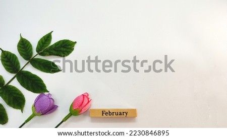 concept design with green leaves, rose flowers and february month in wood shape on white backgroud