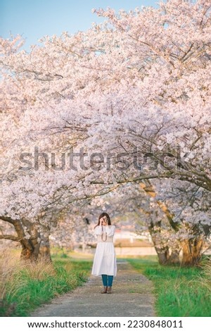 girl taking pictures under the cherry blossom tree
