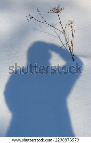 Shadow of a man on white snow on a winter day

