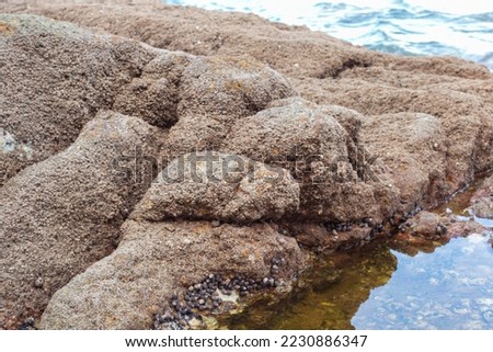 infrared image of the rocks found along the beach