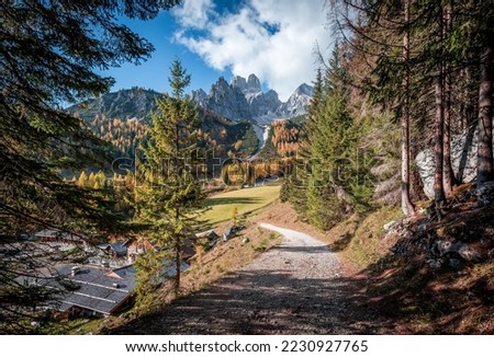 View on road in forest, mountains and perfect sky on background. Wonderful nature landscape. Amazing natural Background. Popular travel destination. Filzmoos, Salzburg, Austria. Picture of Wild Area
