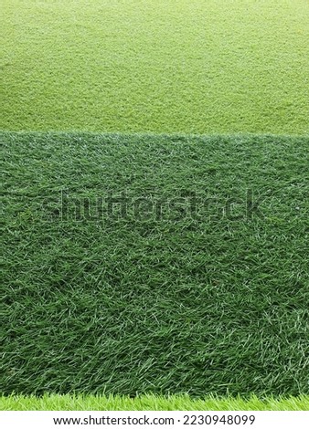 backdrop for a photoshoot with fake grass