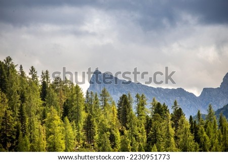 Alpine landscape, pine forests, rocky peaks in spring in rainy weather with clouds