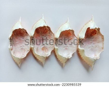Dried crab shell isolated on white. Crab shell. Whole shell of a steamed blue crab on white background.