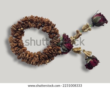 A withered garland on a white background to accompany your presentation.
