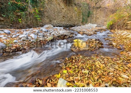 River flowing in the autumn forest
