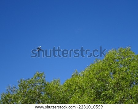 Aeroplane Blue Sky Picture View