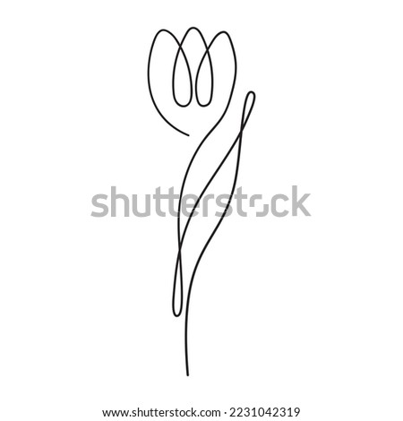 One line vector tulip illustration, floral element, isolated